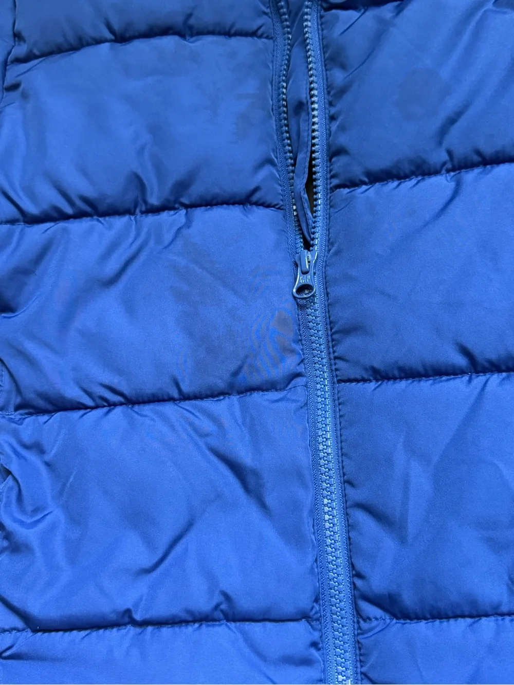 GAP Royal Blue Hooded Puffer Jacket